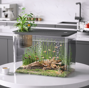 Pecera de escritorio PET ligera, acuario pequeño de 1-3 galones para Betta con <span class=keywords><strong>boca</strong></span> ancha, fácil limpieza y decoración de bajo mantenimiento - Product Image 6