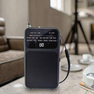 Klasik AM/FM radyo W-209, sabit bir arkadaşı/çift güç modu/topuzu işaretçi ayarlama/özelleştirilebilir logo - Product Image 4