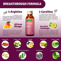 Boissons en gros personnalisées pour la santé digestive et le métabolisme : Complément liquide oral amincissant à base d'extraits naturels de plantes et de thé vert