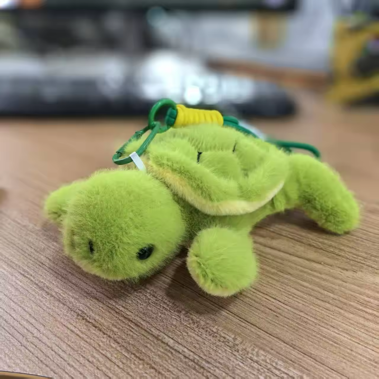 tortue