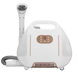 Vaporizzatore Elettrico Multifunzione Portatile 110V/220V ad Alta Temperatura e Alta Pressione con Funzione Sottovuoto in Acciaio Inossidabile - Product Image 1