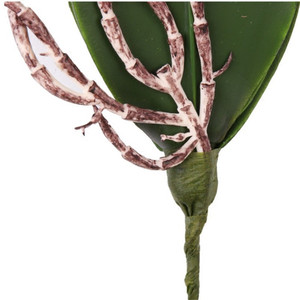 ใบกล้วยไม้เทียมสำหรับตกแต่งสวน,ใบกล้วยไม้ประดิษฐ์ดอกกล้วยไม้ปี E-L046 - Product Image 4