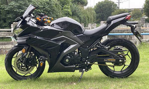 Petite moto Kawasaki d'occasion, bicylindre, refroidissement par air, 250cc/400cc, moteur sans balais - Product Image 2