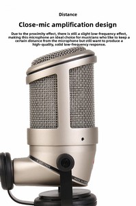 Micros de studio multifonctionnels de haute qualité à réduction de bruit pour l'enregistrement de batterie, microphones métalliques - Product Image 2