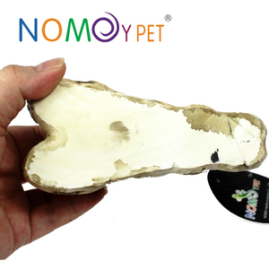 Hot Bán Nhựa Dinosaur Skull Trang Trí Cảnh Quan Bò Sát Ẩn Đặt - Product Image 4