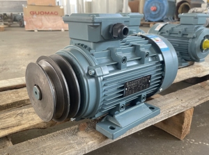 Moteur électrique à induction triphasé 22KW 30HP 220V/380V/400V AC 60Hz 3000 tr/min - Product Image 3