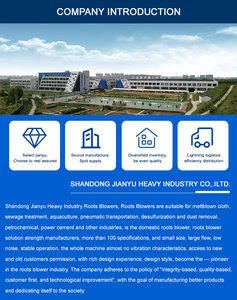 Soplador de Raíces Confiable de Larga Duración para Aireación de Estanques de Peces y Tratamiento de Aguas Residuales - Product Image 3