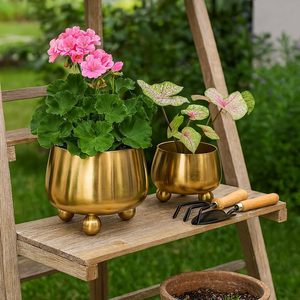 Macetas Modernas de Metal Dorado con Patas Esféricas para Interiores, Diseño Circular, Estilo Minimalista - Product Image 3
