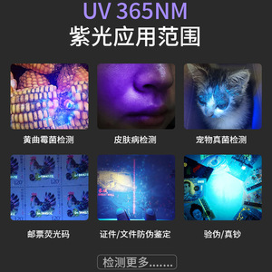Detector de luz UV, lámpara ultravioleta portátil de aleación de aluminio con LED de 365 Nm para pruebas de autenticidad y cuidado de mascotas - Product Image 5