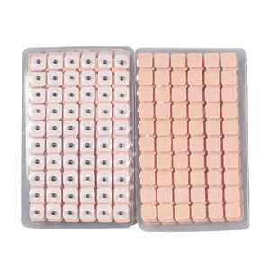 600 قطعة من بذور الوخز بالإبر من تشونغيان، خرز الطب الصيني، بذور قابلة للتخصيص، علاج مغناطيسي للأذن - Product Image 3