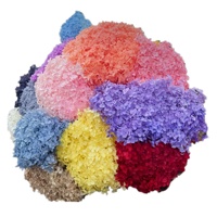 Mini bouquet d'hortensias naturels préservés DIY 20A-40 cm – Fleur artificielle décorative fraîche
