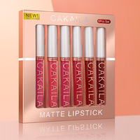 Kit de Gloss à Lèvres En Gros Mat en Coffret, Coffret Cadeau Personnalisable de Gloss et Rouge à Lèvres