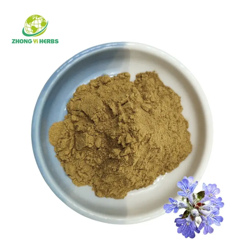 Extracto natural puro de Ajuga Turkestanica 10% Turkesterone