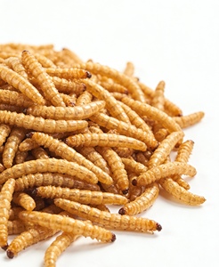 Premium Getrocknete Gelbe Mehlwürmer für Hühner, Vögel, Fische, Schildkröten, Eidechsen, Wellensittiche, Tauben 100% Natürliches Tierfutter - Product Image 4