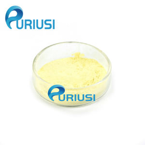 Rifornimento di fabbrica di proteine del siero di latte in polvere 80% prezzo all'ingrosso di proteine del siero di latte isolato 90% concentrato di proteine del siero di latte - Product Image 1