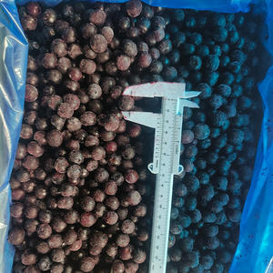 IQF 냉동 블루 베리 전체 | 천연, 첨가제 없음 | 식품 산업 고객을위한 일관된 공급 - Product Image 4