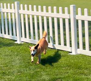 Trắng PVC picket & ranh giới hàng rào tấm 2.5m Chiều rộng tùy chọn 1m chiều cao 3D mô hình với hàng rào đường sắt & hàng rào bài viết cho hàng rào an toàn - Product Image 6