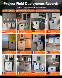 Chu kỳ 8000 EU LiFePO4 biến tần Pin EMS 10KW 15KW 16kw 48V 51.2V 100AH 200AH 314ah nhà điện treo tường pin Lithium ion - Product Image 2
