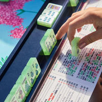 Juego de Mahjong Americano de Acrílico Transparente de Una Sola Capa, 160 Piezas, Patrón Personalizado de Flores y Insectos, Fichas de Mahjong Estándar Estadounidenses para Juegos de Fiesta