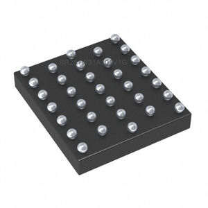 1-100 ชิ้น BR281W31A101V1G ใหม่ออริจินัลไอซีเสียง SGNL โปรเซสเซอร์ 31WLCSP - Product Image 1