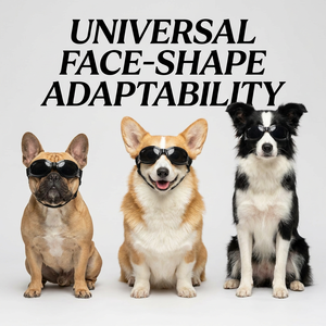 Gafas <span class=keywords><strong>de</strong></span> Sol para Mascotas, Protección UV, Resistentes al Viento, Accesorios <span class=keywords><strong>de</strong></span> Moda para la Cabeza, para <span class=keywords><strong>Perros</strong></span> Pequeños y Medianos, Protección Ocular para Exteriores - Product Image 1
