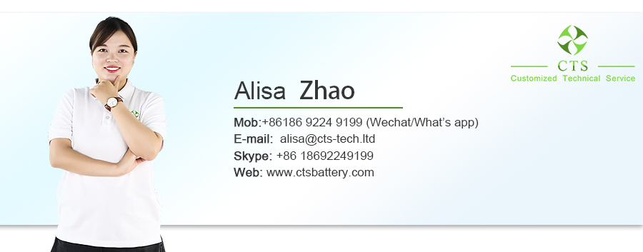 CTS Customized 24v 36v 50ah 100ah lithium battery, electric bike lifepo4 battery 60v 72v 40ah 50ah motorcycle battery