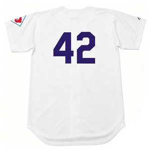 Camiseta de Béisbol Retro Cosida de los Duke Sniders de 1951 con los Nombres de Gil Hodges, <span class=keywords><strong>Jackie</strong></span> <span class=keywords><strong>Robinson</strong></span>, Pee Wee Reese y Carl Furillo, para Adultos y Jóvenes, Tallas S-5XL - Product Image 2