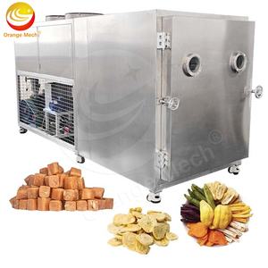 Orme maquina liofilizador DO Leite hecho En เครื่องอบแห้งแช่แข็งไก่ผลไม้ - Product Image 1