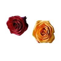 Kepala Bunga Mawar Sutra Simulasi Berkualitas Tinggi untuk Corsage Pernikahan, Aksesoris Rambut, Dekorasi Topi, Bunga Buatan DIY, Anyaman Pan