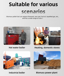 Machine de <span class=keywords><strong>moulin</strong></span> à granulés de <span class=keywords><strong>bois</strong></span> de biomasse à matrice plate 200-300 kg/h certifiée CE à haut rendement pour la production d'<span class=keywords><strong>énergie</strong></span> de carburant de sciure de <span class=keywords><strong>bois</strong></span> - Product Image 4