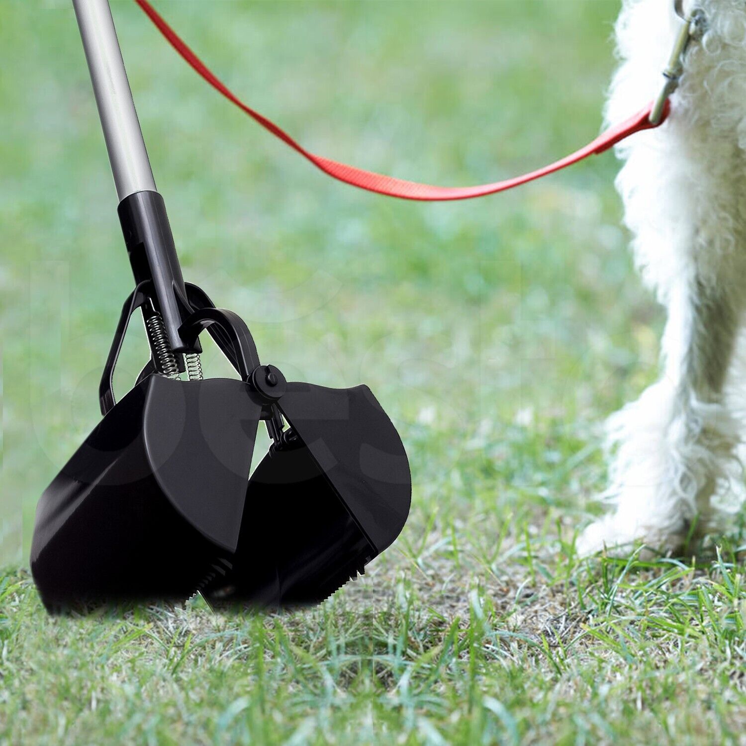 Paletta Per Escrementi Cani 3 In 1 – Manico Lungo Regolabile, Antiruggine, Con Sacchetti Per Rifiuti E Rastrello
