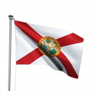 Drapeau de l'État de Floride personnalisé pour l'extérieur, 3x5 pieds, résistant à la décoloration, bannière en polyester durable avec œillets en laiton - Product Image 1