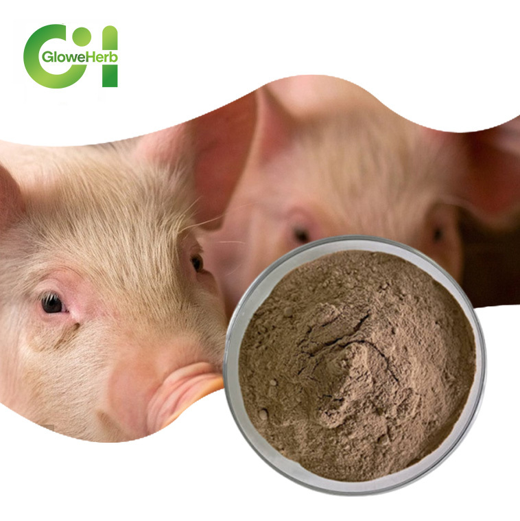 High Quality Food Grade Pig Placenta Powder Freeze-Dried in Drum