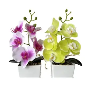 25cm de altura mini bonsái en maceta flores de orquídeas artificiales con maceta