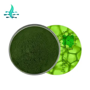Pigmentos verdes de chá de grau alimentício 100% naturais puros/pigmentos solúveis em água do chá verde em pó