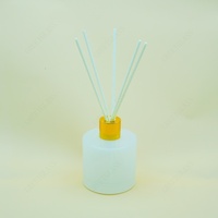 Verre dégradé de luxe pour bouteille de diffuseur de roseaux 100ml 150ml 200ml en forme de cylindre avec des bâtons de fibres bouteille d'huile essentielle plate