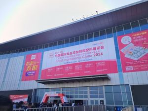 Inulina en Polvo a Granel 60% Grado Alimenticio Extracto Herbal de Plantas en Stock - Product Image 2