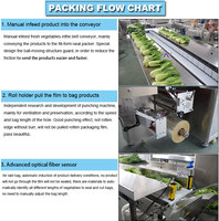 Autompack ATM-600X Tinda Tomatillo Légumes Légumes Frais Fruits Pain Croissant Tranches Toast Pain Machine D'emballage