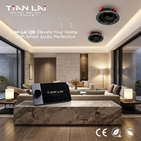 Sistem Audio Rumah Pintar Tian Lai Q8 JX502 Speaker Plafon High Fidelity 8 Inch Amplifier Dinding Layar Sentuh untuk Vila Mewah