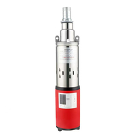 Offres Spéciales haute qualité personnalisé solaire Submersible DC48V pompe à eau à vis à cavité progressive 60V pour le ménage agricole