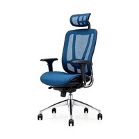 Chaise ergonomique avec dossier réglable sur 6 niveaux |   Chaise de bureau professionnelle à dossier et lombaire séparés en maille TPE, directement de l'usine