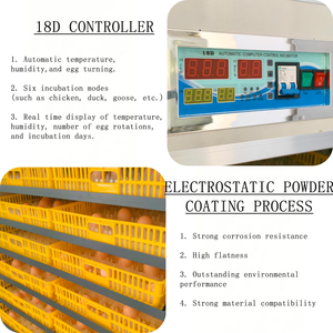 Incubadora de Huevos Totalmente Automática, 220V, 1056 Huevos, Incubadora para Huevos de Gallina, Codorniz, Pato, Ganso y Paloma - Product Image 4