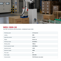 Robot de manutention de palettes et de cartons de 30 kg avec ventouse pour lignes d'emballage et opérations d'entrepôt
