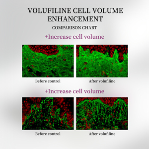 Sérum repulpant anti-âge pour le visage avec Volufiline, effet liftant, qui repulpe visiblement les zones creuses sans <span class=keywords><strong>injections</strong></span> - Product Image 4