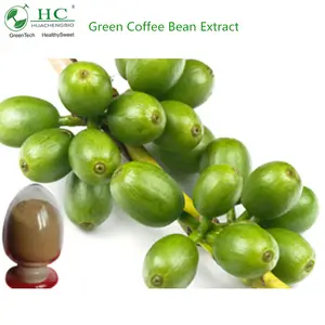 Extrato de grãos de café verde de fábrica natural 100%