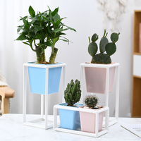 Pot de fleurs auto-arrosant moderne en plastique coloré pour plantes d'intérieur et succulentes