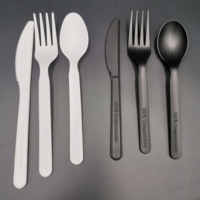 Ensembles de couverts jetables compostables écologiques de haute qualité pour manger pour le camping et les restaurants