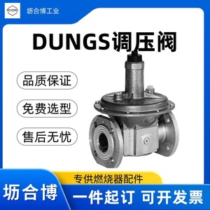 Régulateur de pression de gaz naturel en métal Dungs FRS507 - Product Image 2