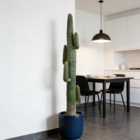 Grands cactus artificiels, succulentes, plantes de cactus du désert, plastique durable, haute qualité, décoration intérieure persistante pour le Nouvel An