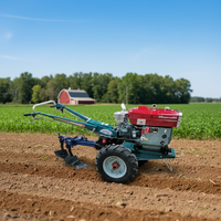 Mini-tracteur agricole diesel à prix abordable, tracteur à deux roues motrices, cultivateur rotatif, motoculteur